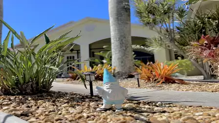 Typical Florida plants can be found around the house, enriching the surroundings with their tropical charm