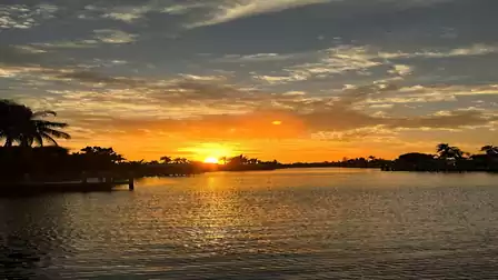 Sunset over the canal in Cape Coral with golden reflections on the water and silhouettes of palm trees on the horizon.