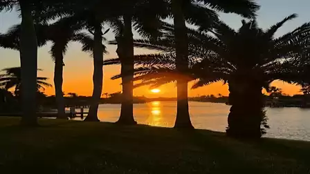 Sunset over the canal framed by tall palm trees, with the sun reflecting on the water - pure tropical vacation feeling in Cape Coral.