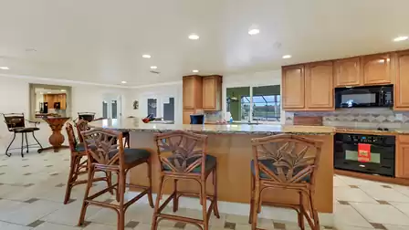 Spacious kitchen with large breakfast bar, elegant granite countertop, and palm-themed barstools - the perfect spot for shared cooking moments.
