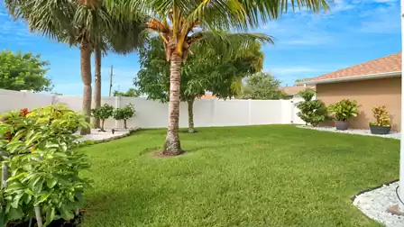 Well-maintained backyard with palm trees, tropical plants, and a lush lawn in Cape Coral.