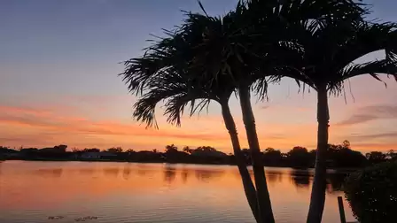 Romantic sunset with palm trees by the water – the perfect backdrop for relaxing vacation evenings.