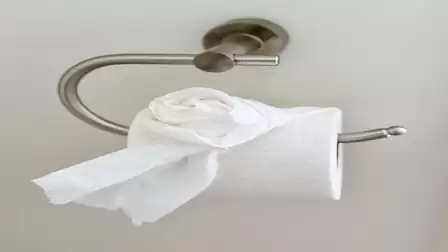 Close-up of a toilet paper roll on a modern holder in a bright bathroom.