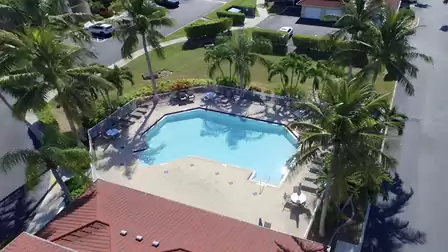 Community pool with palm trees, sun deck and a quiet, well-maintained setting