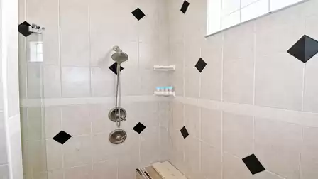 Walk-in shower with handheld shower, bench, glass door edge and corner toiletry shelves