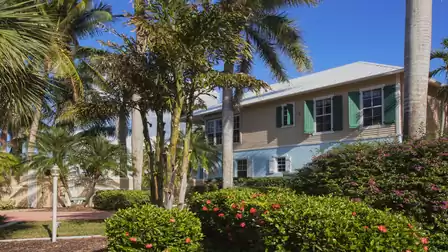 Two story house facade with green shutters, palm trees and flowering shrubs
