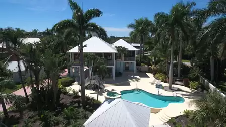 Aerial view of two story house with curved pool, spa and tall palm trees