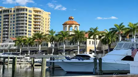 Marina with white motor yachts, palm trees and multi story waterfront condominium buildings