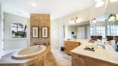 The adjacent master bath includes tub, walk-through shower and double sinks