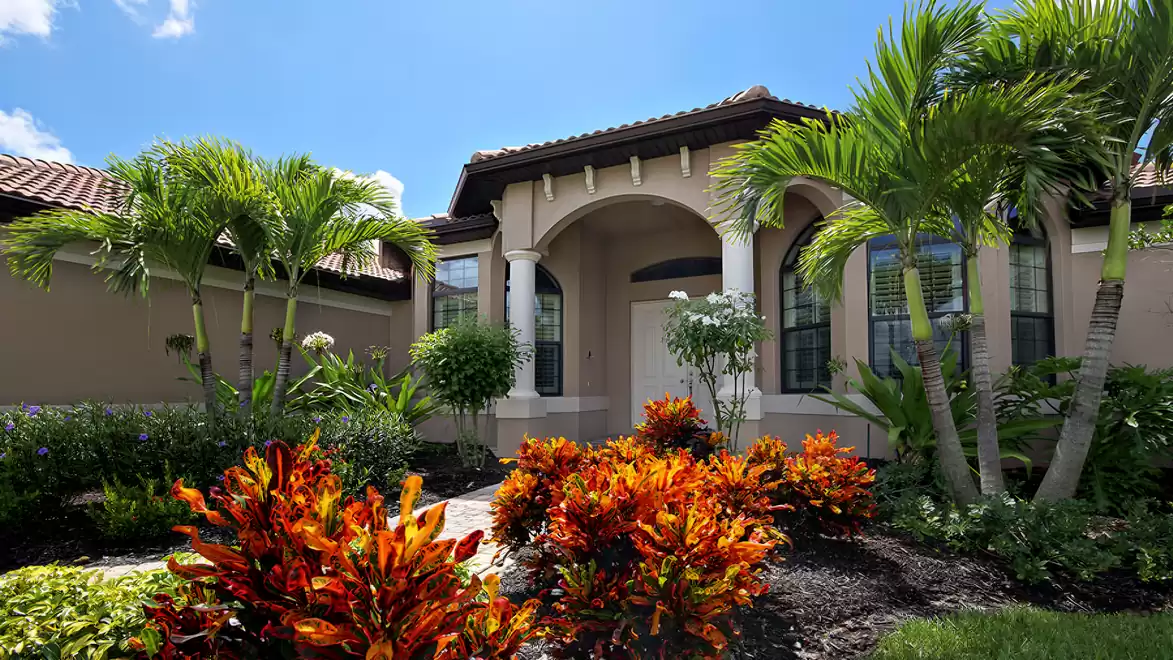 Numerous palm trees are part of the tropical yard