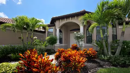 Numerous palm trees are part of the tropical yard