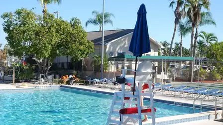 Lifeguard on duty