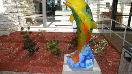 Hey - I am Harmony the Dolphin