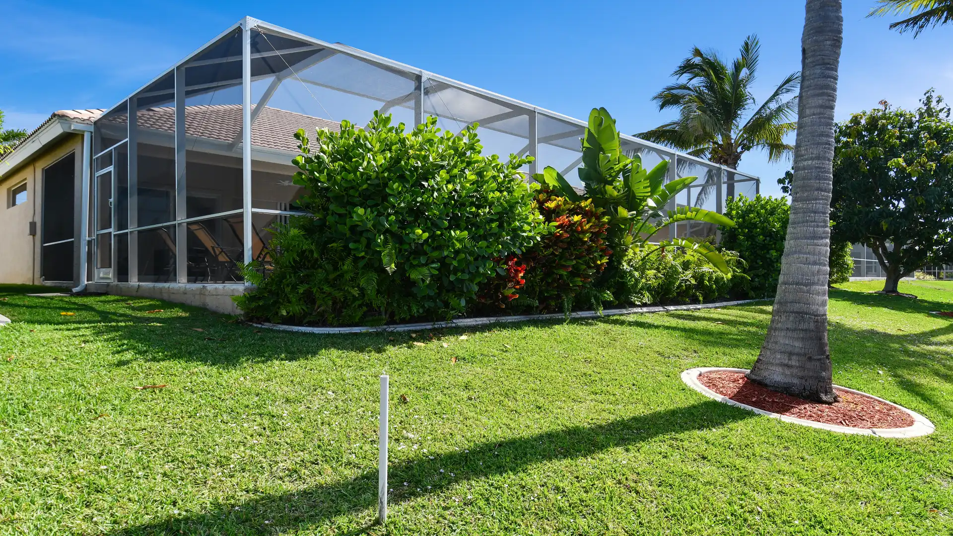 The pool is already overgrown and therefore offers privacy