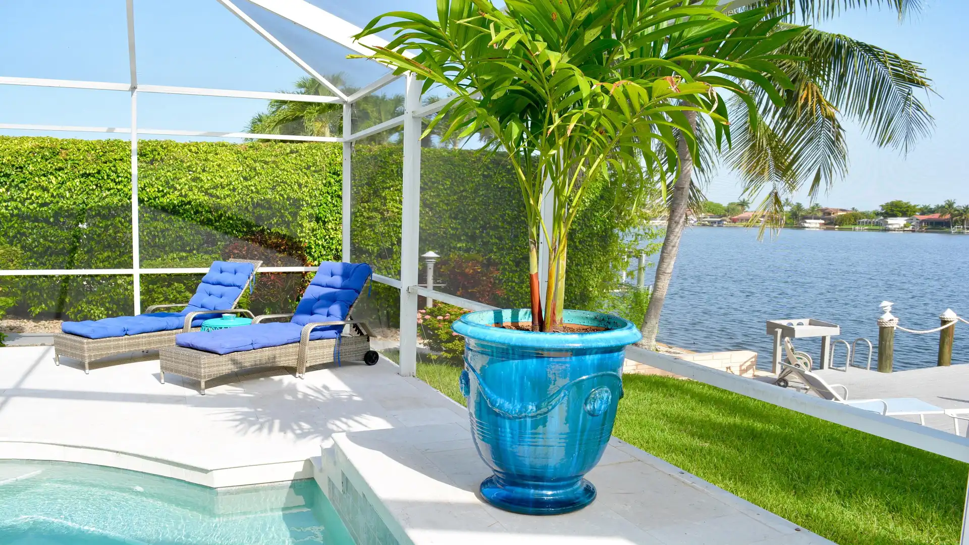 There is also a palm tree on the terrace