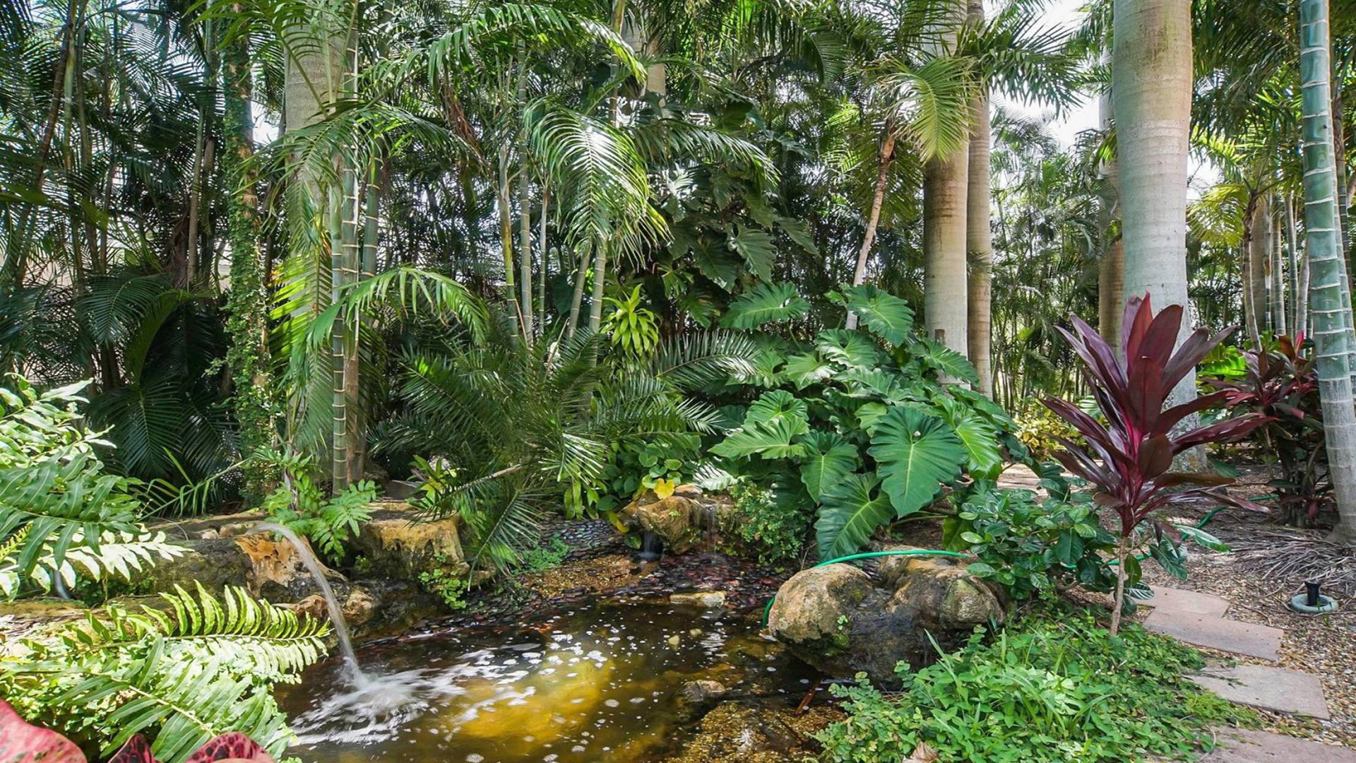 A beautiful tropical yard surrounds the entire home