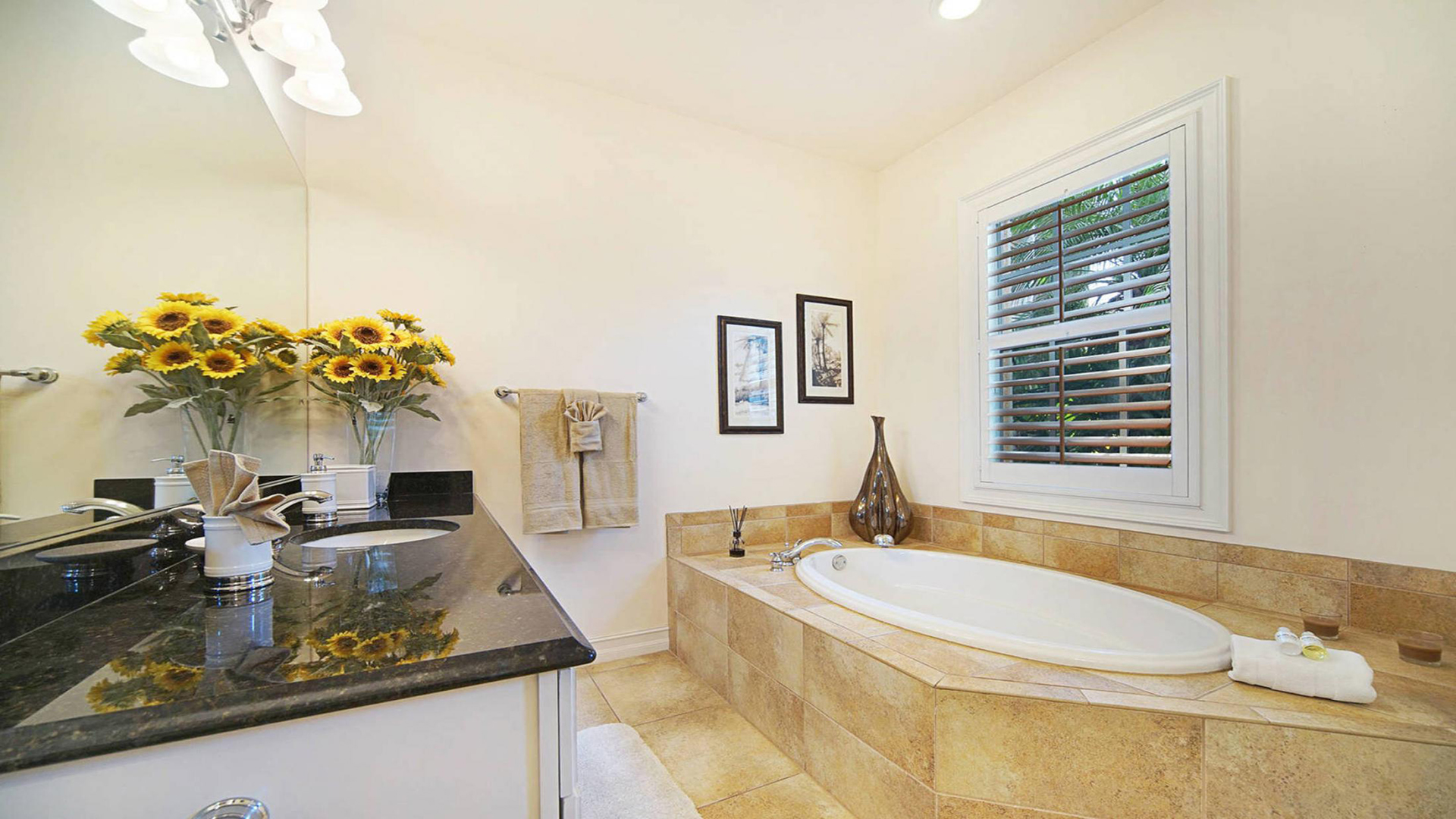 Tub, walk-in shower and sinks are combined in the master bath
