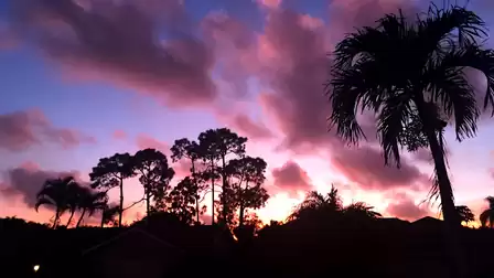 beautiful Sunset