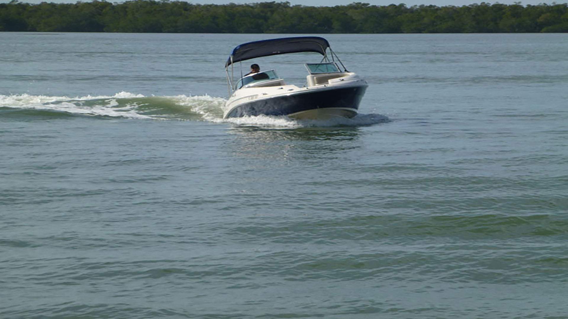 Sea Ray 220 Sundeck Deckboat boat rental in Cape Coral