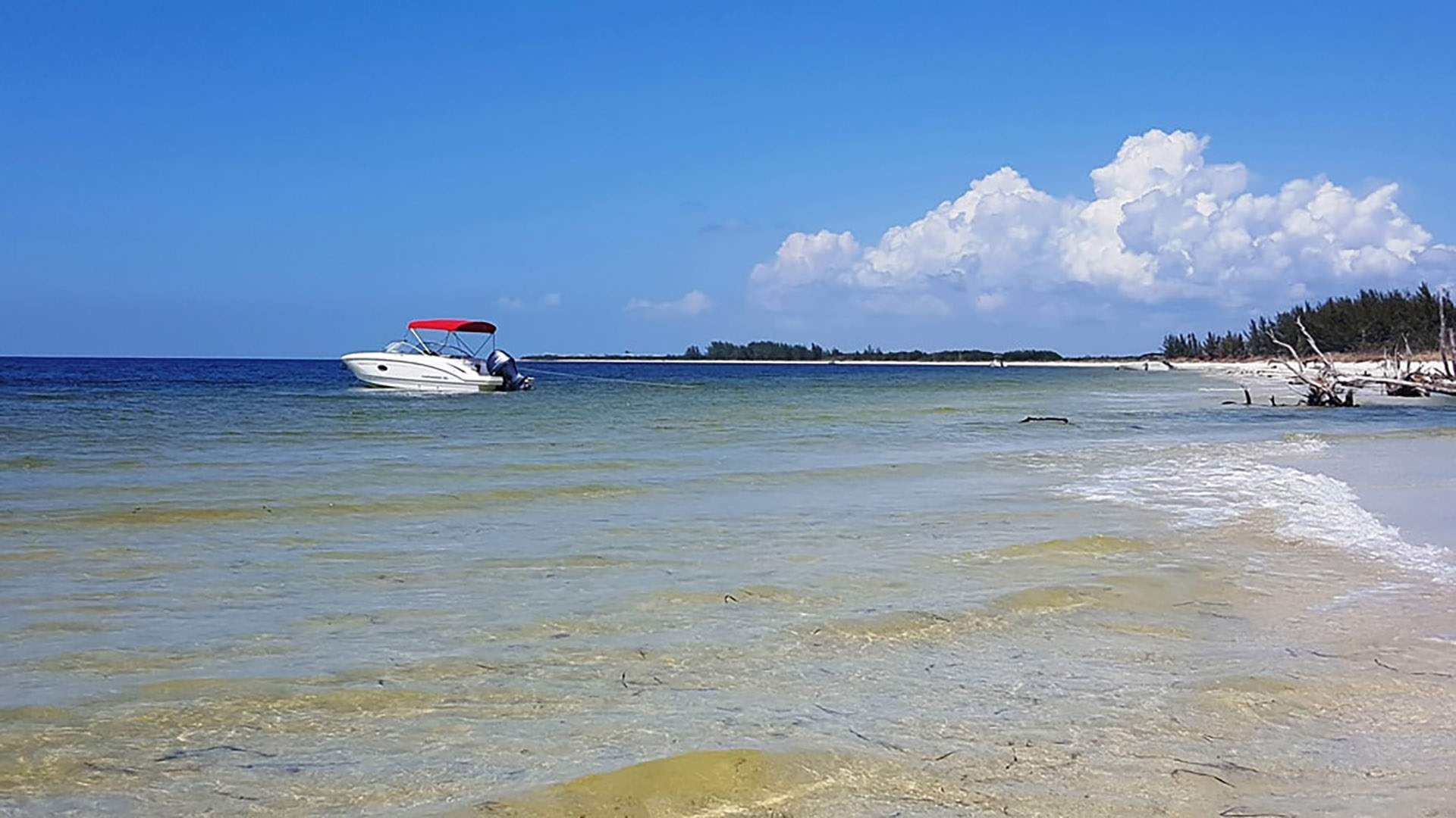 Chaparral Suncoast OB 24 Bowrider boat rental in Cape Coral