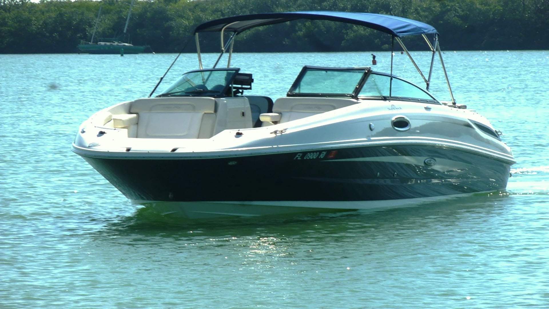 Sea Ray 2600 Sundeck Deckboat boat rental in Cape Coral