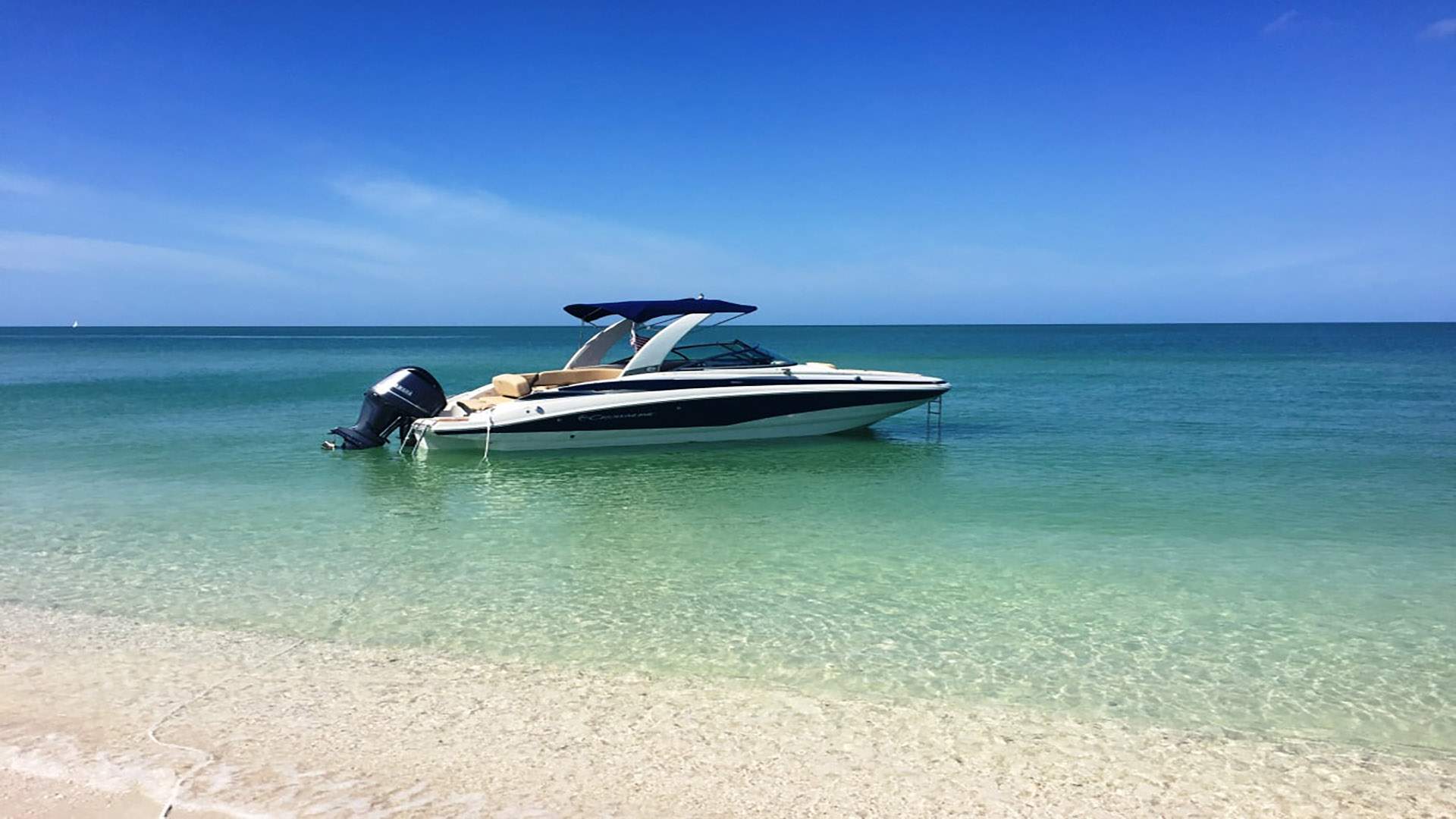 Crownline E6 XS Bowrider boat rental in Cape Coral