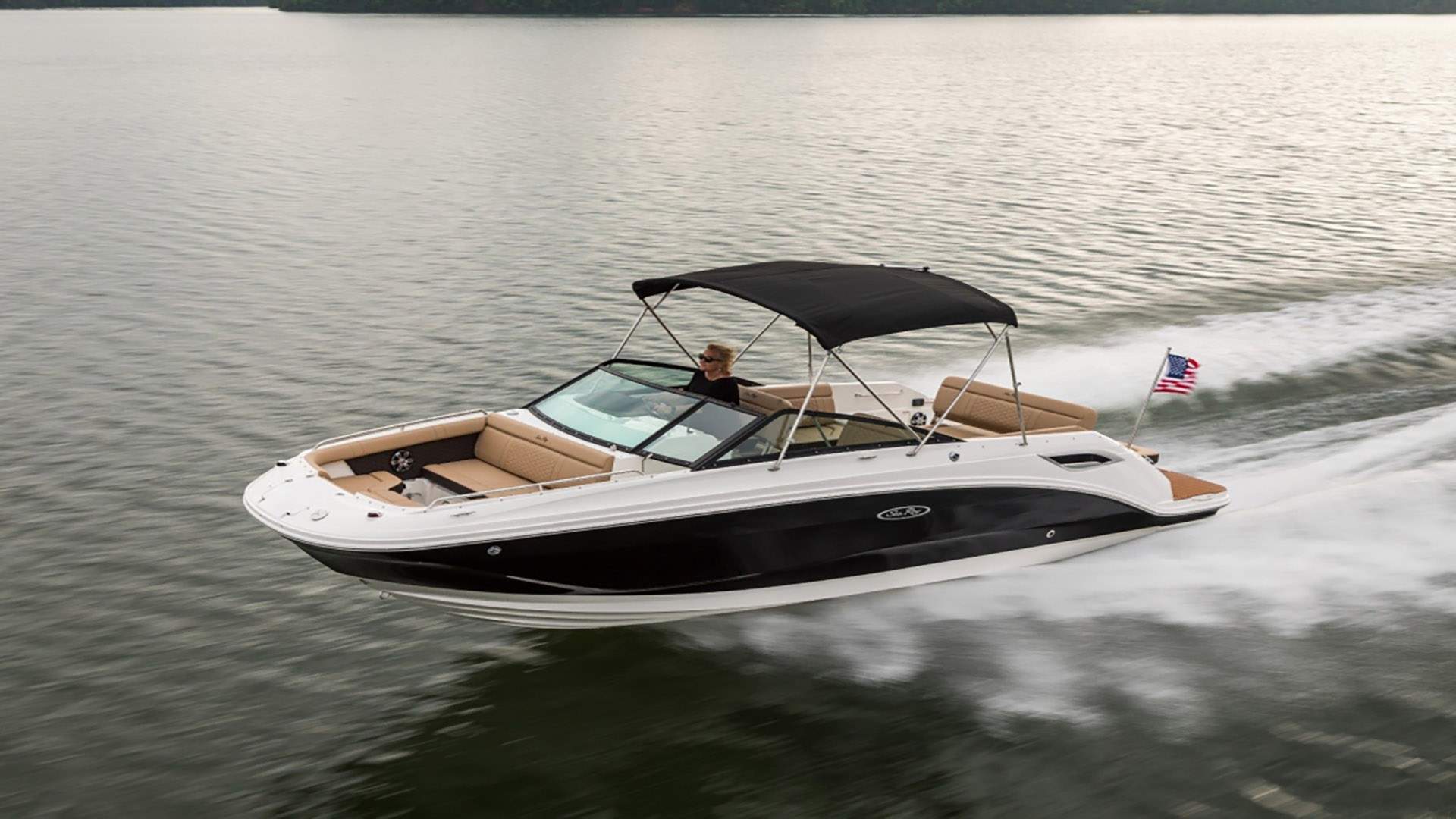 Sea Ray 250 SDX Bowrider boat rental in Cape Coral