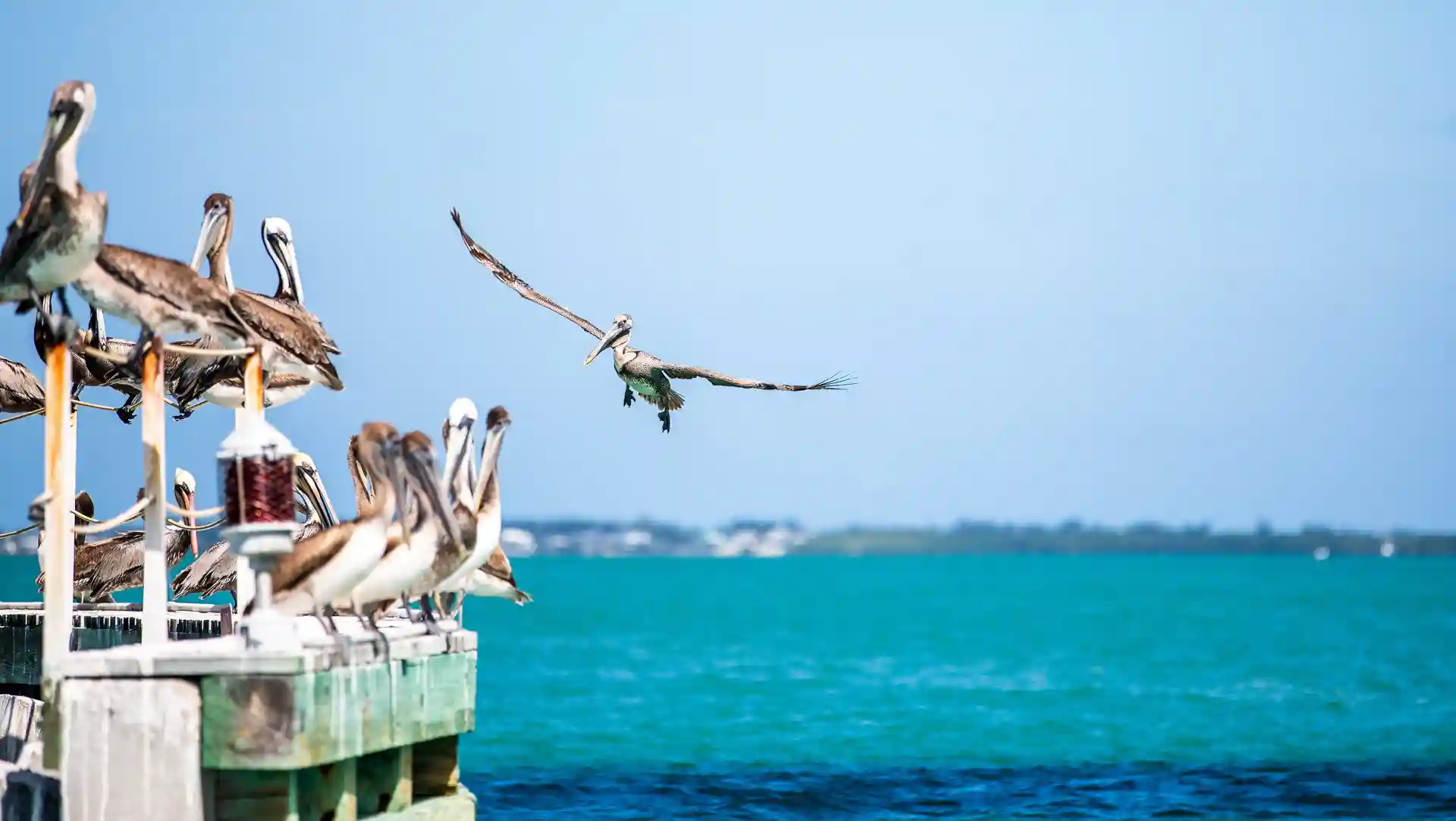Florida Dictionary – Useful terms and expressions for your vacation in Florida