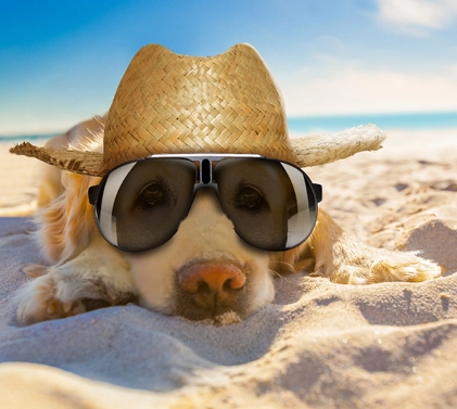 Dog-friendly vacation rental in Florida with pool